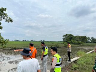 Polisi Lakukan TPTKP Penemuan Mayat Perempuan di Area Persawahan Desa Kramat Jatibarang